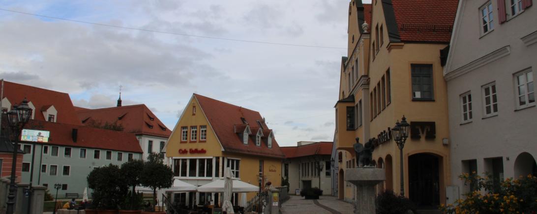 Das Bild zeigt das Ried.