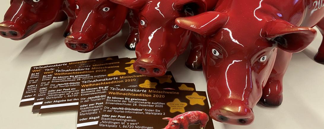 Mini-Schweine - Weihnachtsedition