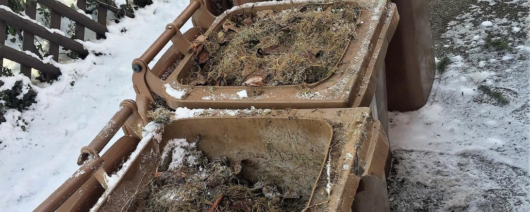 Das Bild zeigt eingefrorene Biotonnen.