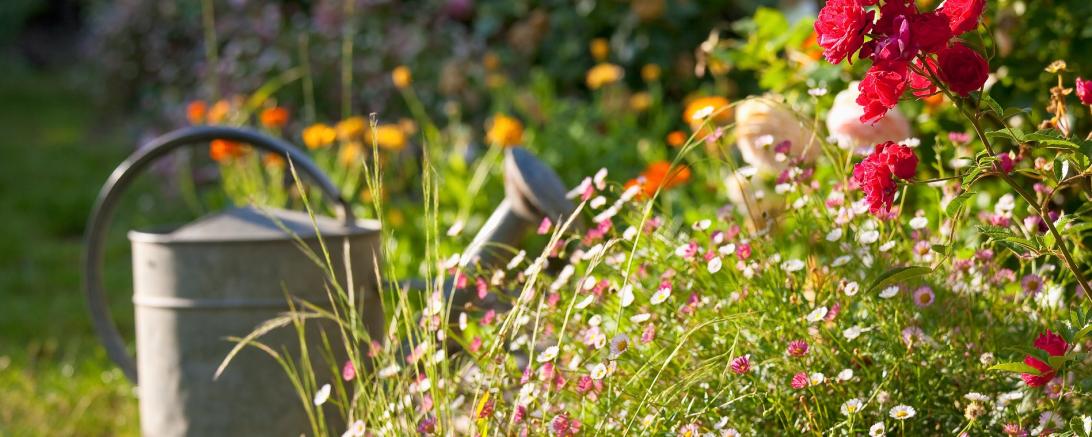 Grünanlagen und Garten