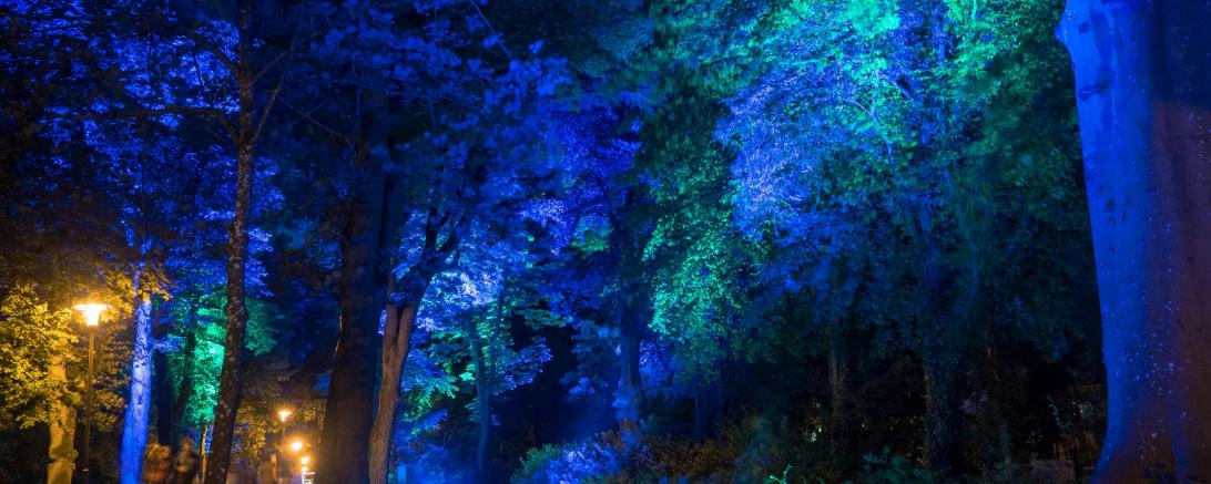 Lichtinstallation Promenade