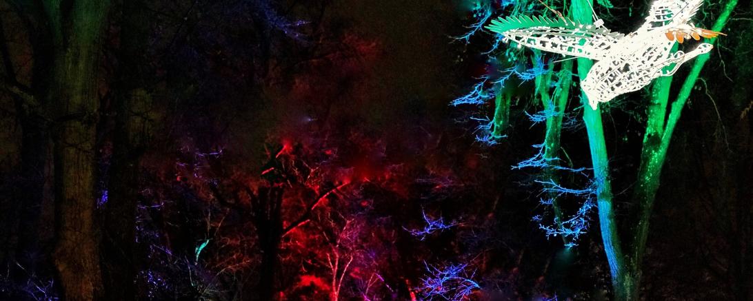 Donauwörth leuchtet