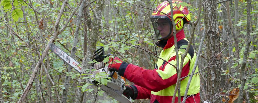 Tobias Heider, Auszubildender im 2. Lehrjahr bei Fürst Wallerstein. 