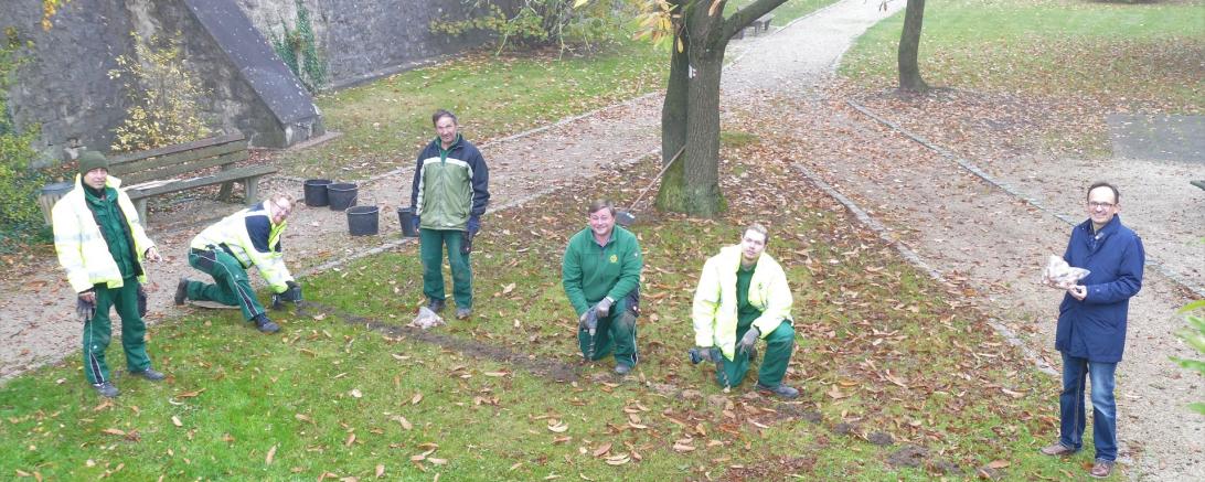 Rund 17.000 Frühlingsblüher für Wemding‘s Stadtgraben