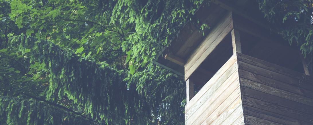 Hochsitz vor Nadelbaum