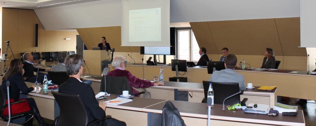 Das Bild zeigt das Treffen des Lenkungsgremiums Regionalmanagement im Oktober 2020