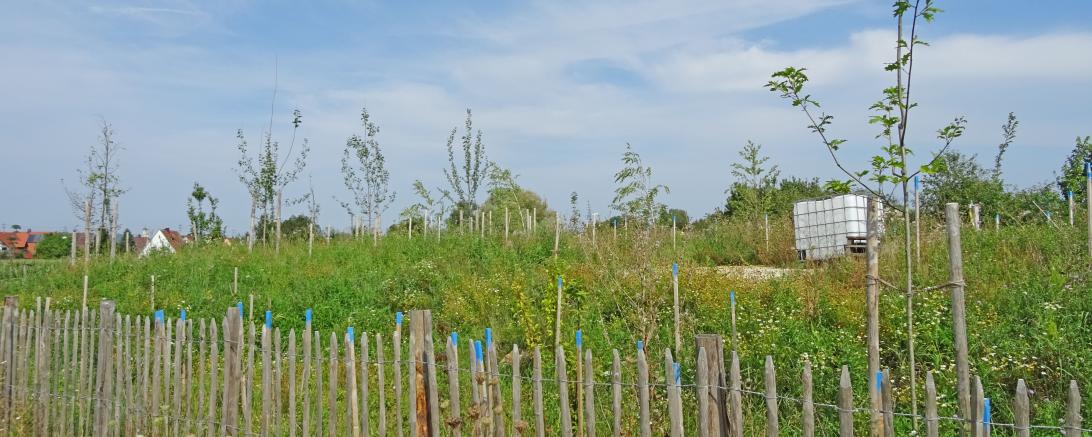 Das Bild zeigt den Lehrwald der Taglieber.