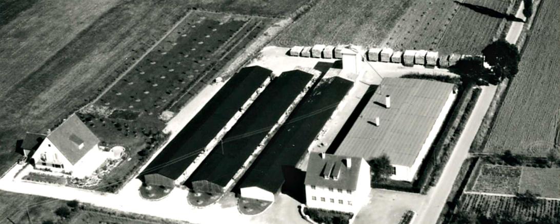 Das Bild zeigt ein Luftbild aus dem Jahr 1964.