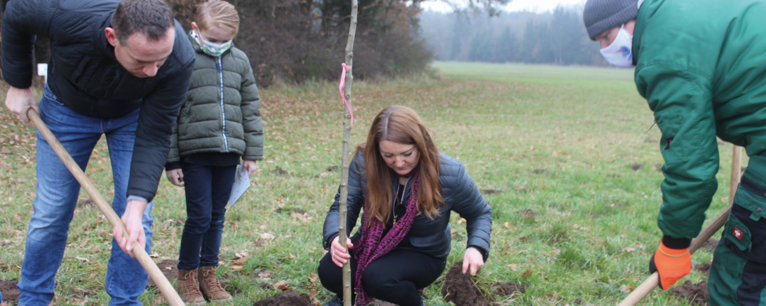 Das Bild zeigt Anna-Maria Böswald beim Pflanzen eines Baumes.