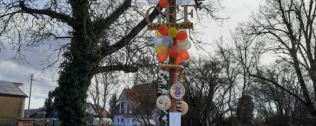 Das Bild zeigt den Narrenbaum Genderkingen 2021.