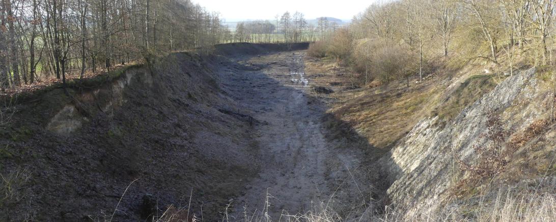 Im Steinbruch Amerdingen laufen derzeit umfangreiche Pflegearbeiten, um die Gewässerqualität für Molche, Kröten und Frösche zu verbessern.