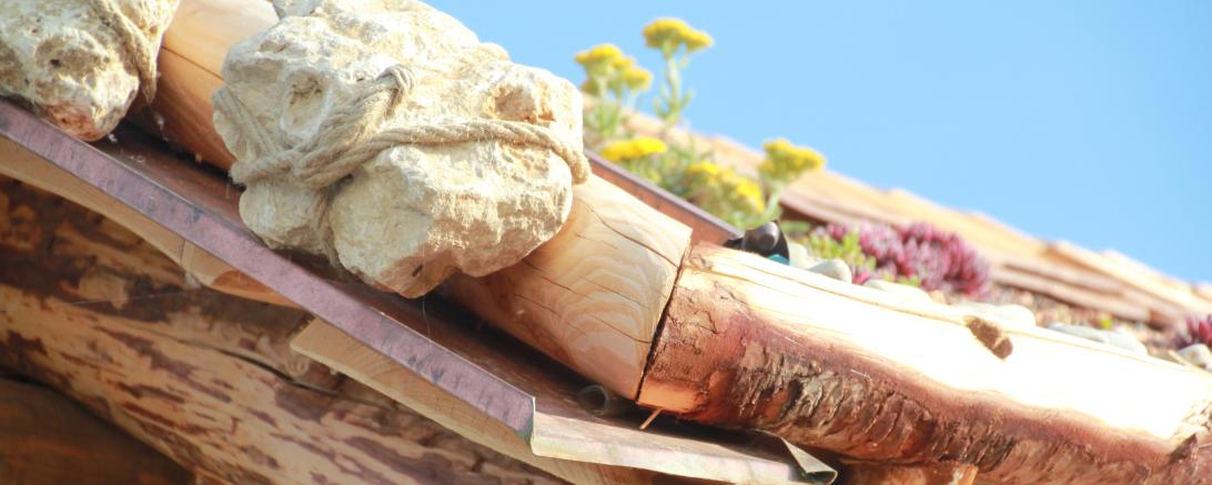 Beispielbild der ÖDP