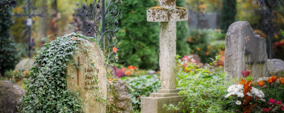 Das Bild zeigt Gräber und Grabsteine auf einem Friedhof. 