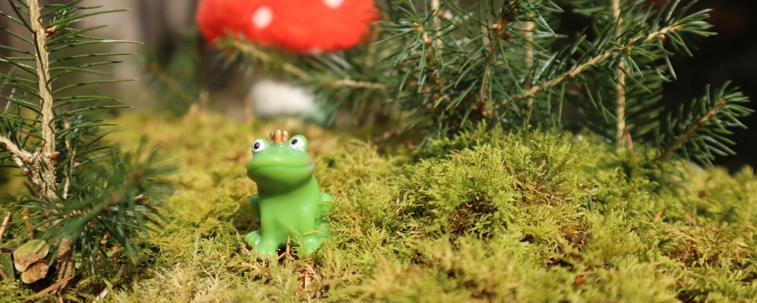 Das Bild zeigt einen Frosch. 