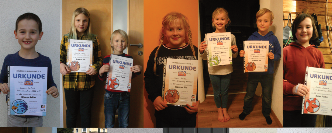 Die Collage zeigt die geehrten Teilnehmerinnen und Teilnehmer vom TSV Wemding. (Foto und Text: Marco Lechner)