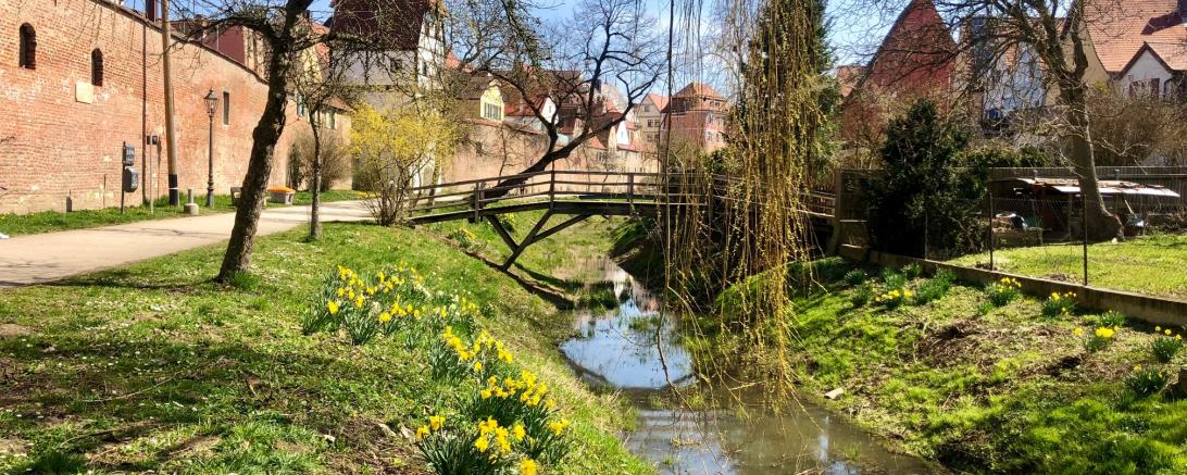 Frühling an der kleinen Wörnitz in Donauwörth. 