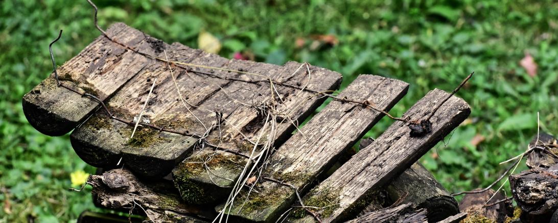 Holzzaun Rain Schlosspark