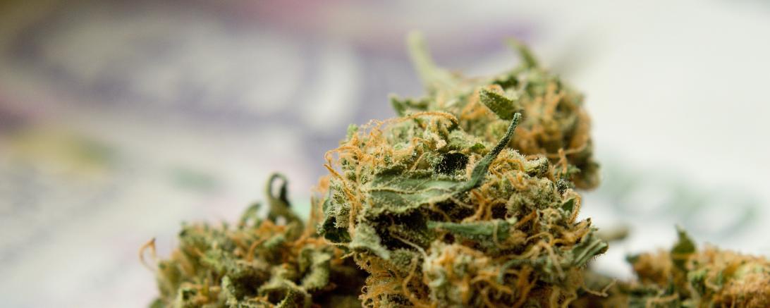 Das Bild zeigt die Droge Marihuana.