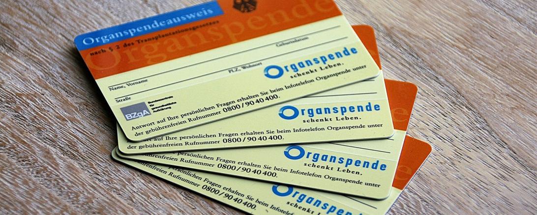 Das Bild zeigt Organspendeausweise