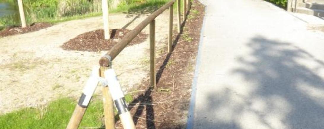 Ligusterhecke Schloss Rain