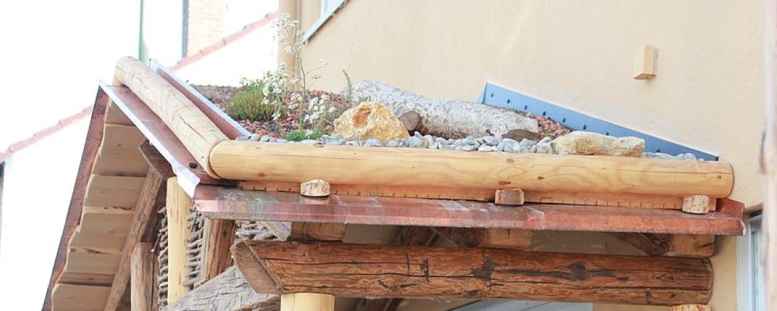 Das Bild zeigt ein begrüntes Dach.