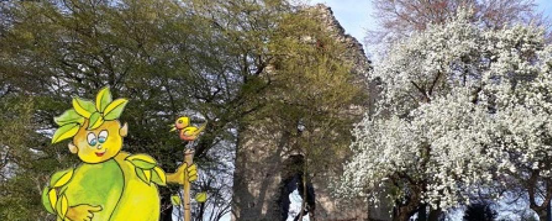 Gemula-Erlebnistour durch Blossenau