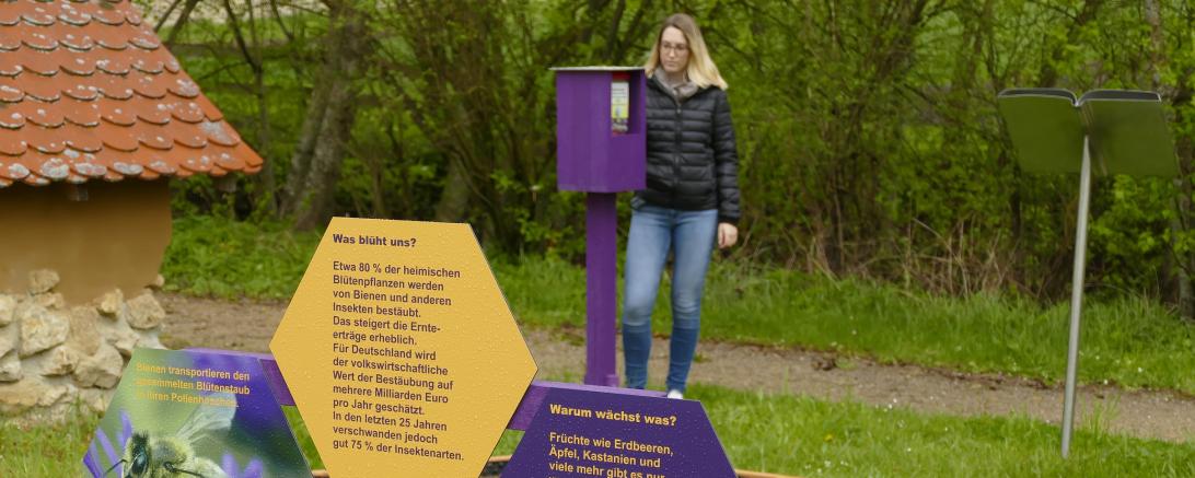 Das Bild zeigt Einblicke der neuen Outdoor-Attraktion.