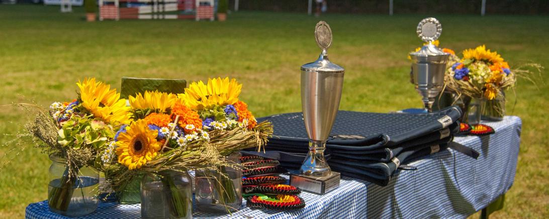 Das Bild zeigt die Anekdotensammlung von Marle Koch-Schneider