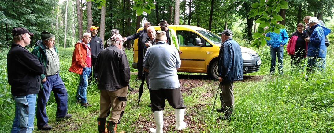 Forstdirektor Birkholz referiert im Steinharter Wald zu aktuellen Themen. 