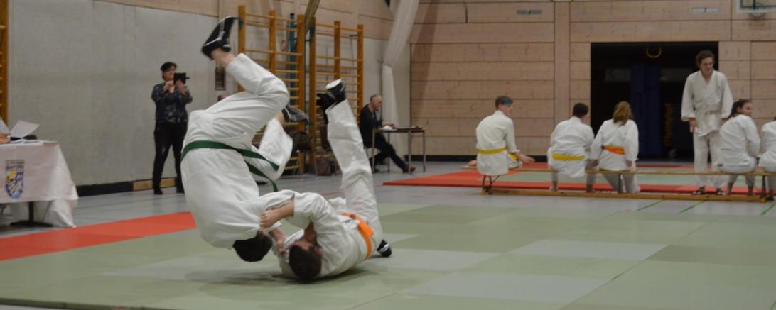 Einblick von Jujutsu.