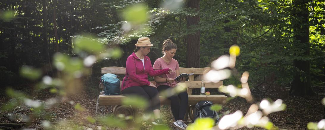 In den Wäldern rund um Wemding wurden in den letzten Jahren drei Ruheoasen geschaffen, die zum Verweilen einladen. 
