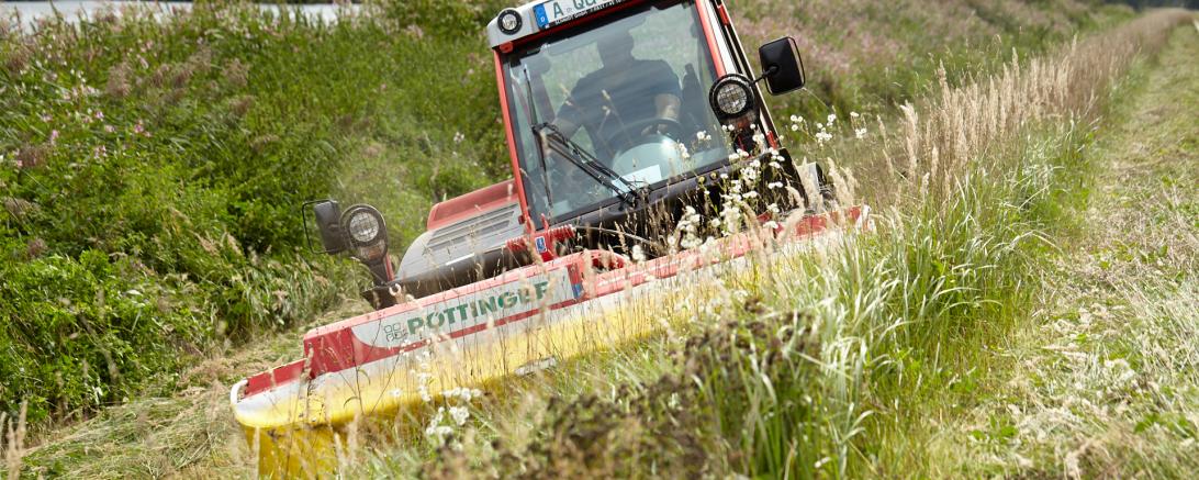 Das Bild zeigt die Mäharbeiten entlang der Donau. 