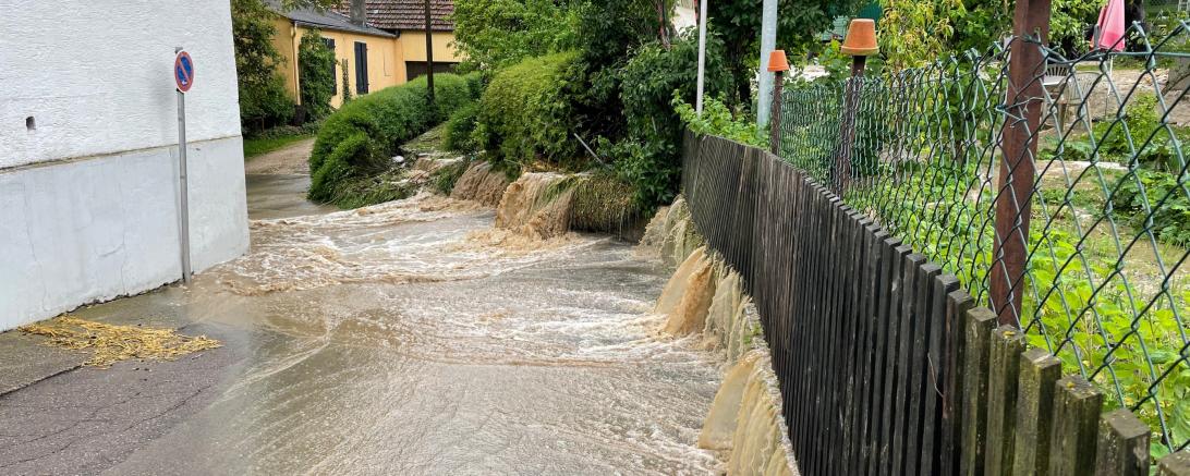 Überschwemmter Garten in Schweinspoint