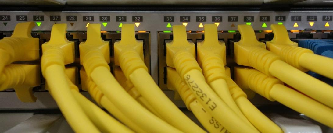 Das Bild zeigt Netzwerkkabel.