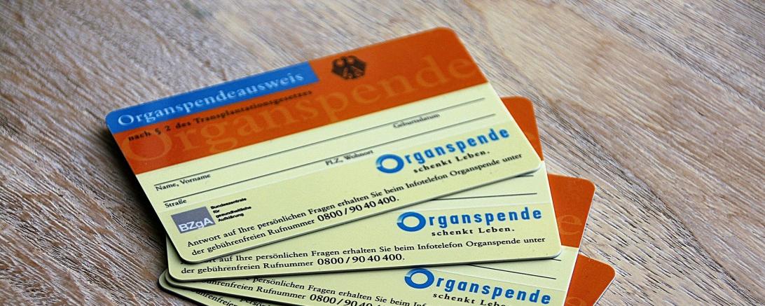 Das Bild zeigt den Organspendeausweis. 