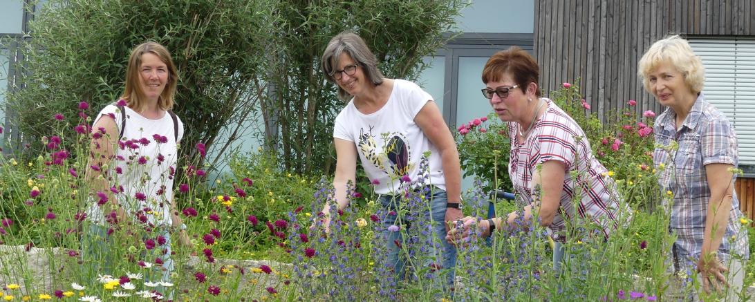 Doris Leupold (re.) zeigt Mitgliedern des Gartenbauvereins die große Artenvielfalt, die im Blühstreifen vor dem B+ Zentrum zu sehen ist.