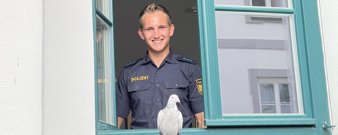 Polizeiobermeister Johannes Fackler (PI Donauwörth) vor der nach wie vor unbeirrten Brieftaube am Donauwörther Inspektionsgebäude.