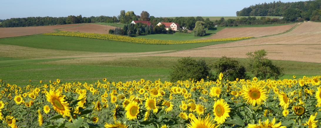 Fotowettbewerb RVB Ries