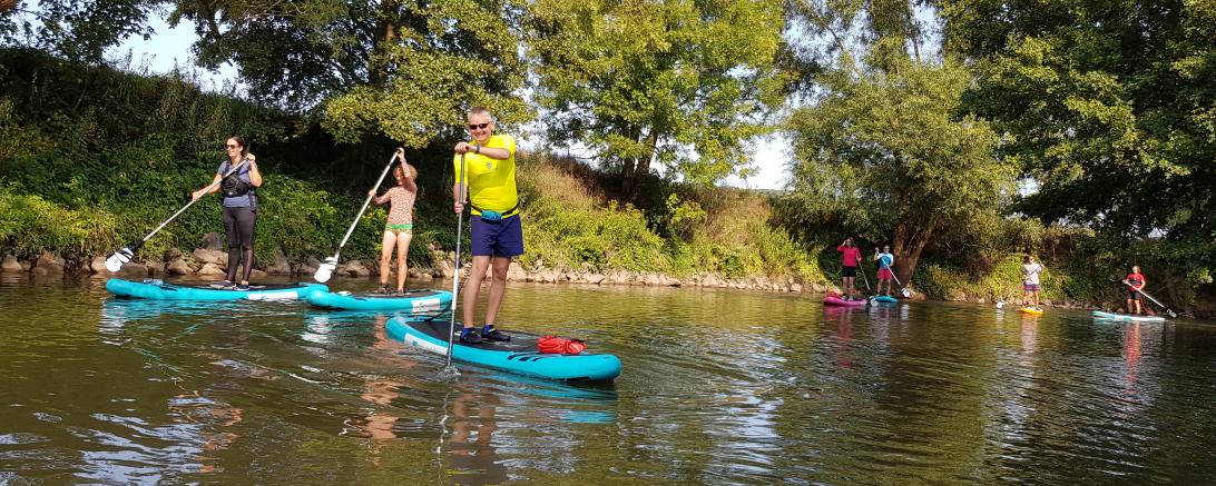 Stand-Up-Paddler*innen auf Gewässer