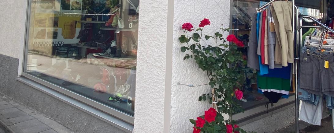 Rosenaktion Oettingen