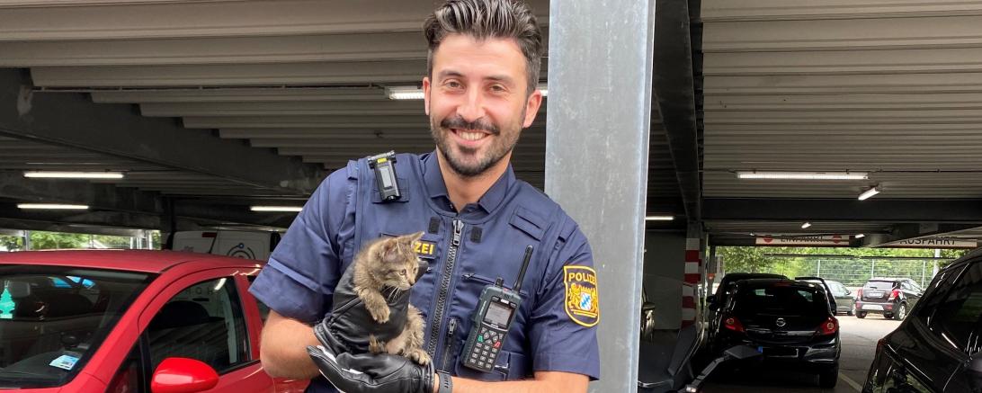 Das Bild zeit einen Beamten der PI Donauwörth mit dem geretteten Kätzchen.