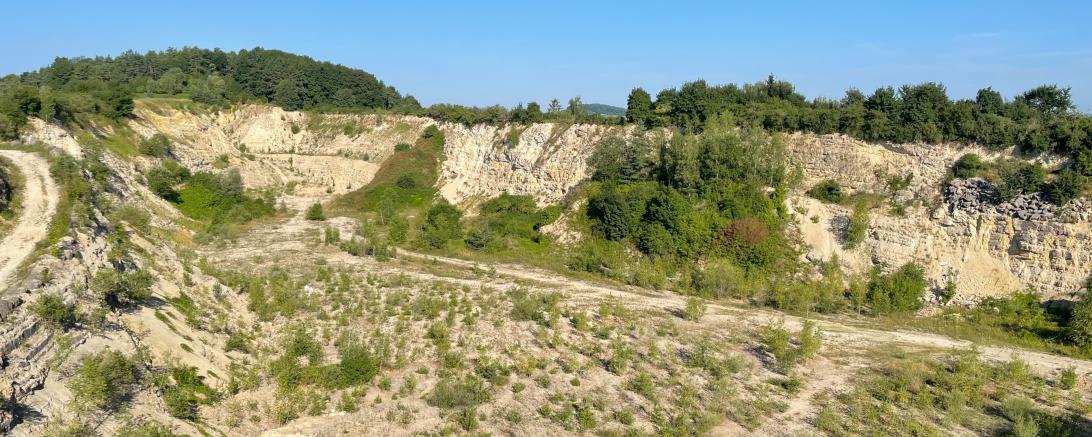 Das Bild zeigt den Steinbruch Badersberg.