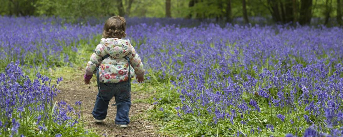 Das Bild zeigt ein Kleinkind im Wald. 