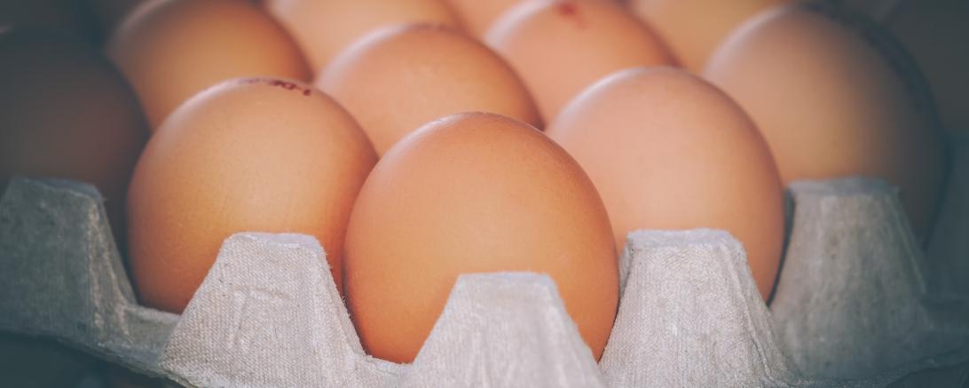 Das Bild zeigt Hühnereier.