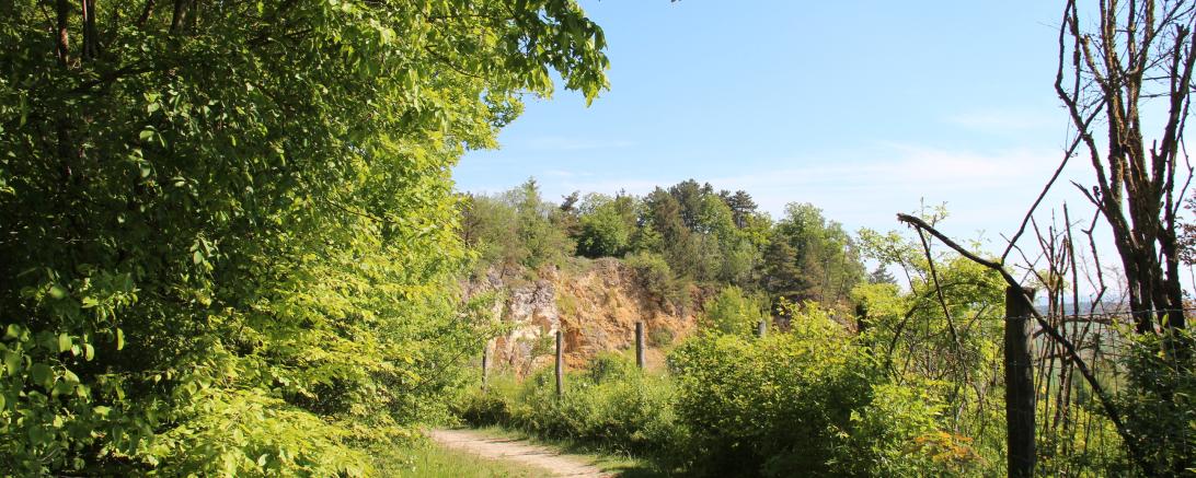 Erlebnis-Geotop Lindle