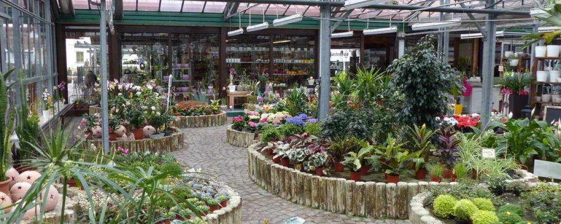 Der Blumenmarkt Unger in Wemding. 