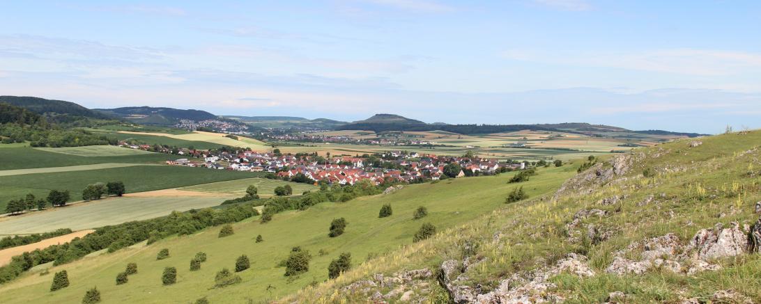 Blick zum Ipf vom Riegelberg