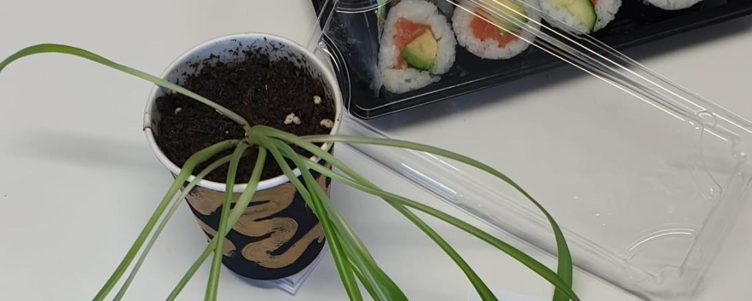 Plants-to-go im alten Kaffeebecher und individuelle Anhänger aus altem Plastik – Einmalverpackungen müssen nicht im Müll landen, weiß Jugendsozialarbeiterin Nina Thorwart. 