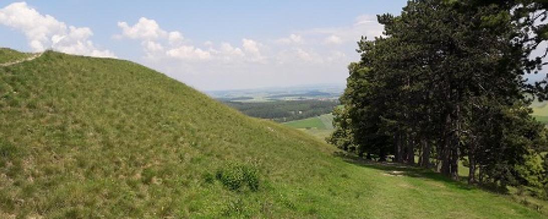 Führung Geopark Ries 