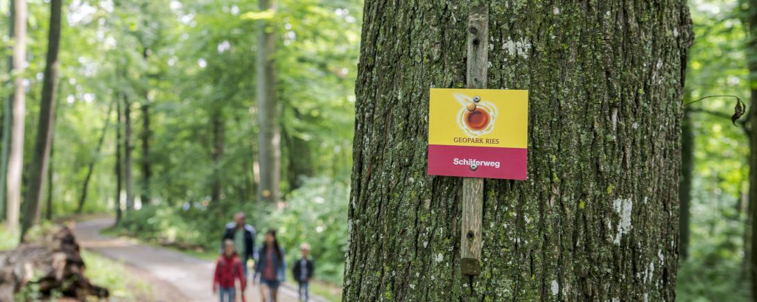 Wandern auf dem Schäferweg im Geopark Ries. 